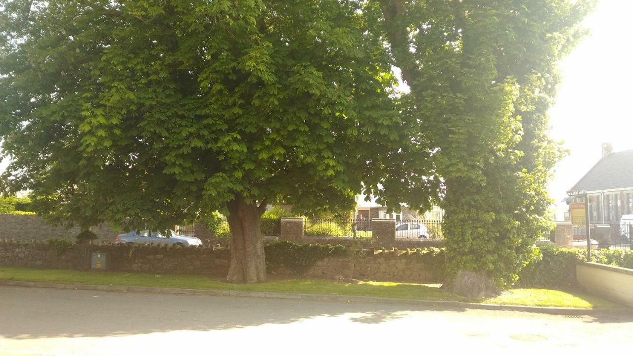 Conn Oriel B&B Tralee Exterior foto